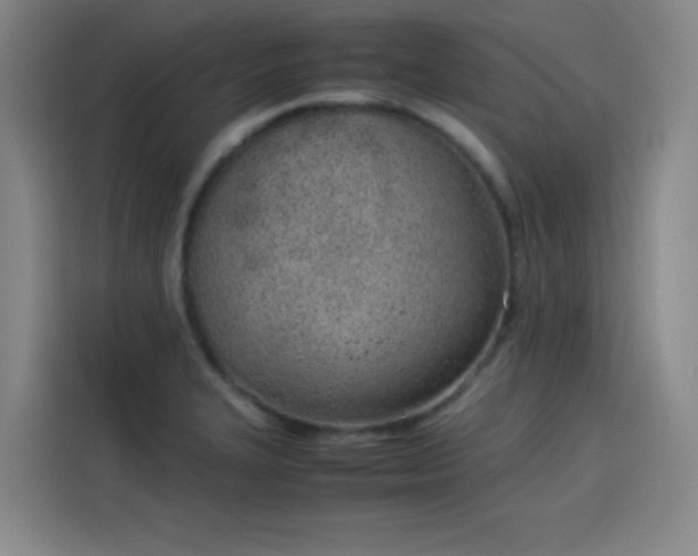 X0000114221327200910161300