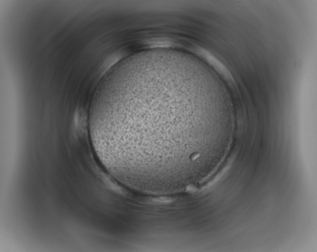 X0000114221329200910161300