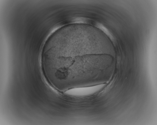 X0000114221331200910161300