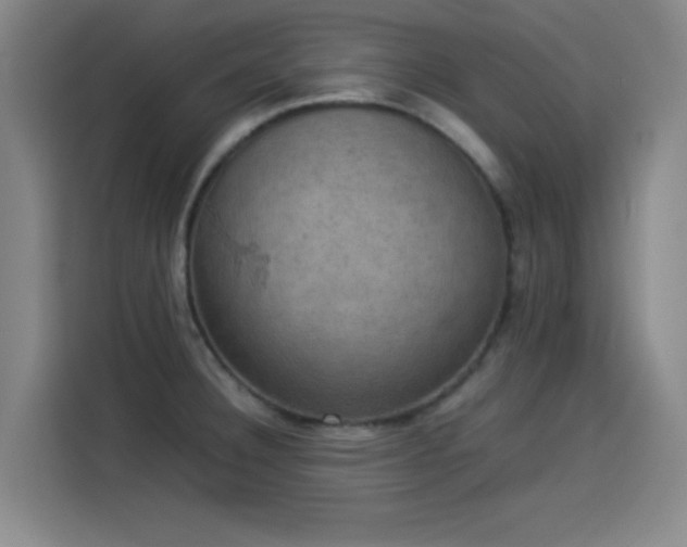 X0000114221332200910161300