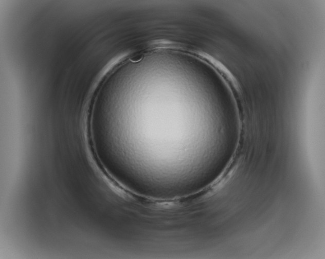 X0000114221333200910161300