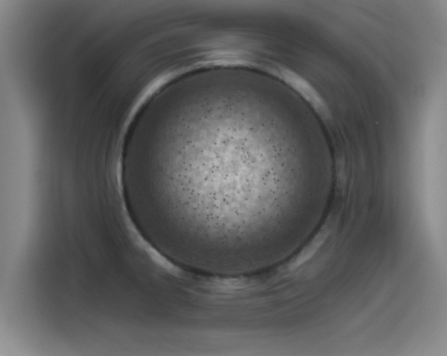 X0000114221334200910161300