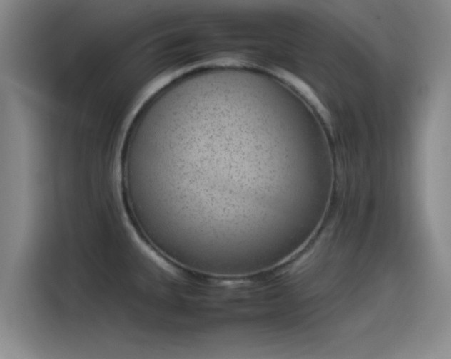 X0000114221335200910161300