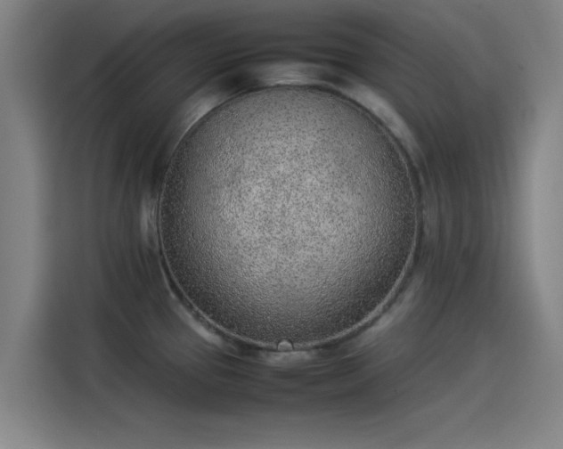 X0000114221337200910161300