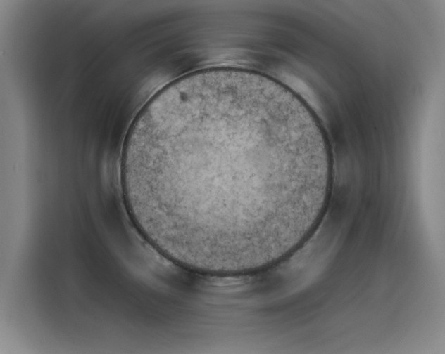 X0000114221338200910161300