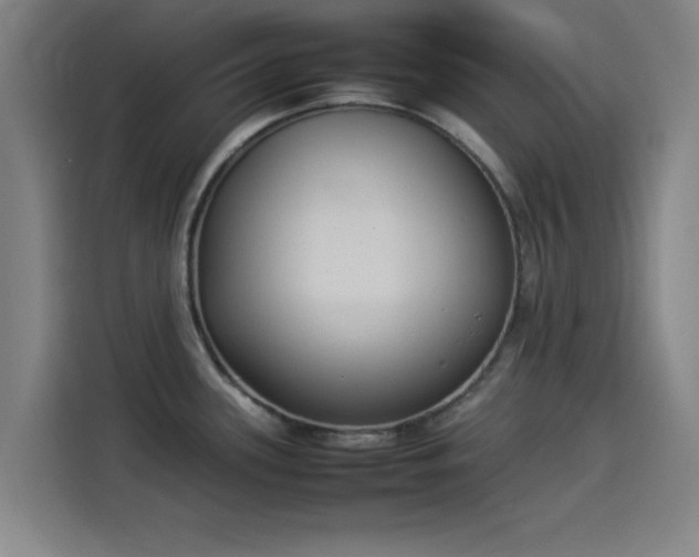 X0000114221339200910161300