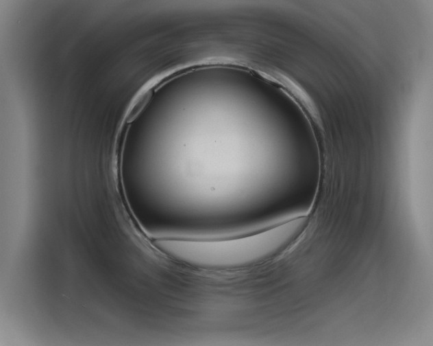 X0000114221340200910161300