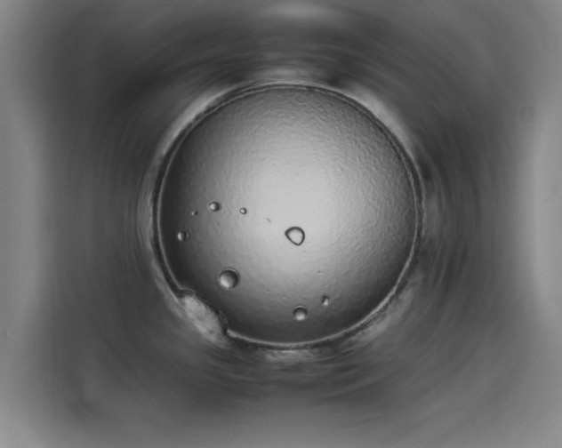 X0000114221341200910161300