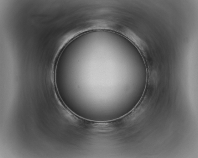 X0000114221342200910161300