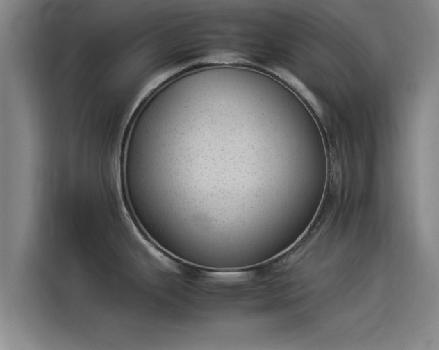 X0000114221343200910161300