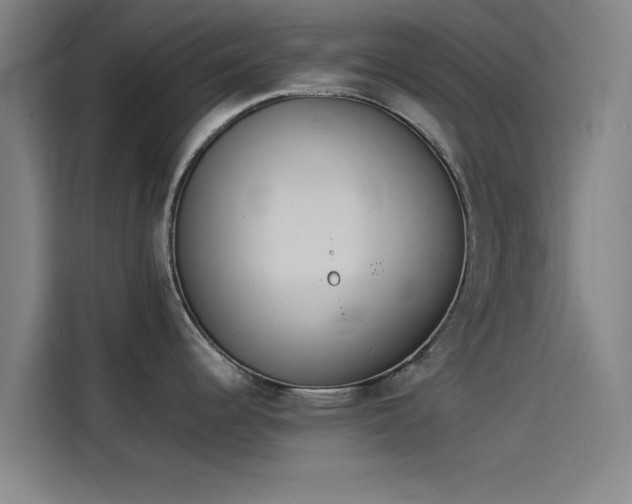 X0000114221344200910161300