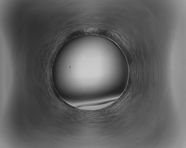 X0000114221345200910161259