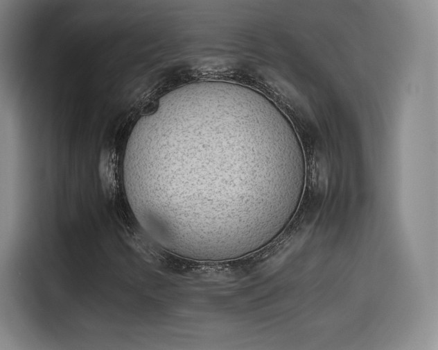 X0000114221346200910161259