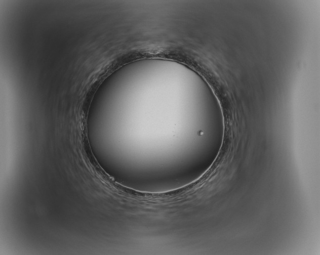 X0000114221349200910161259