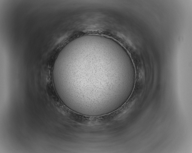 X0000114221350200910161259