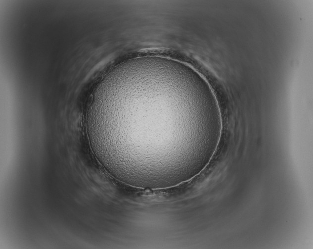 X0000114221351200910161259