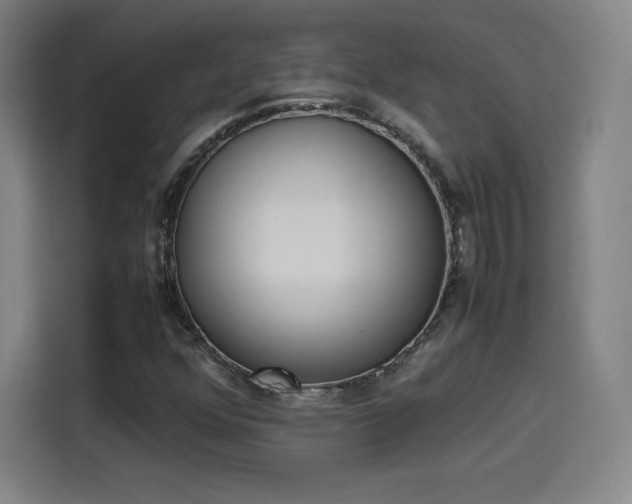 X0000114221352200910161259