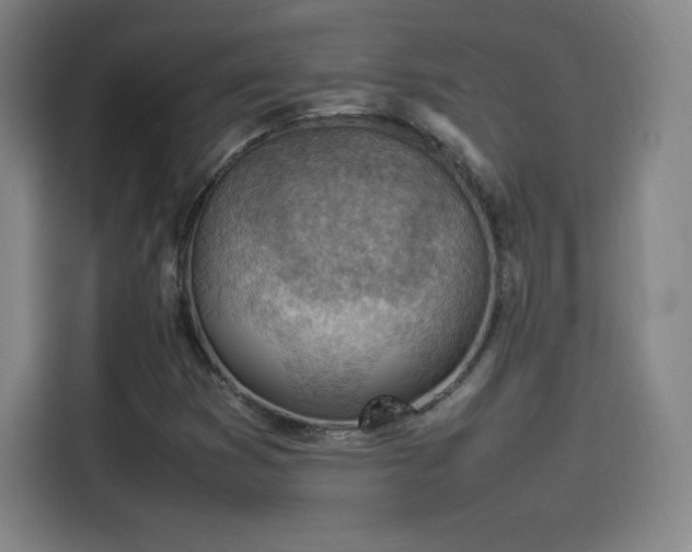 X0000114221353200910161259