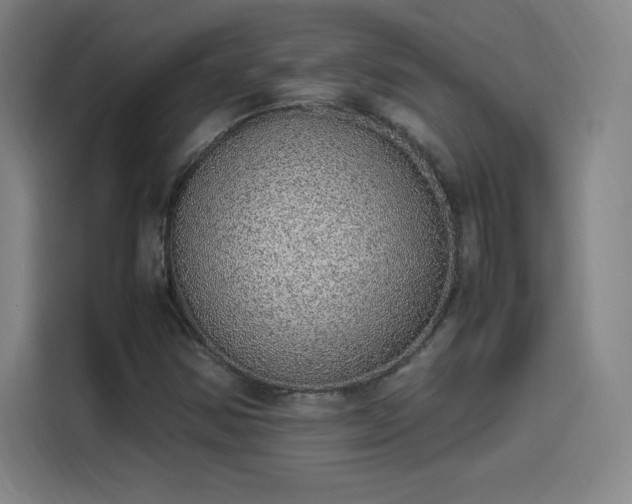 X0000114221354200910161259