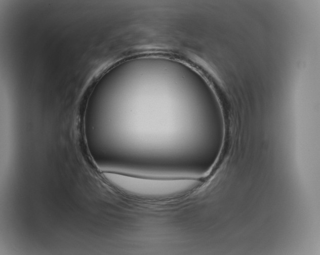 X0000114221357200910161259