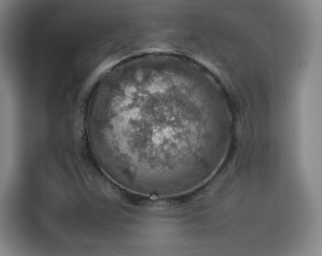 X0000114221359200910161259