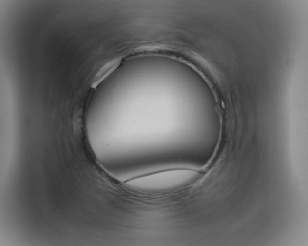 X0000114221361200910161259