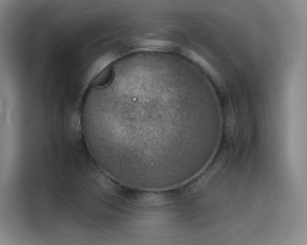 X0000114221362200910161259