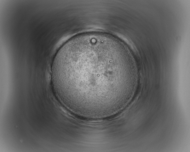 X0000114221363200910161259