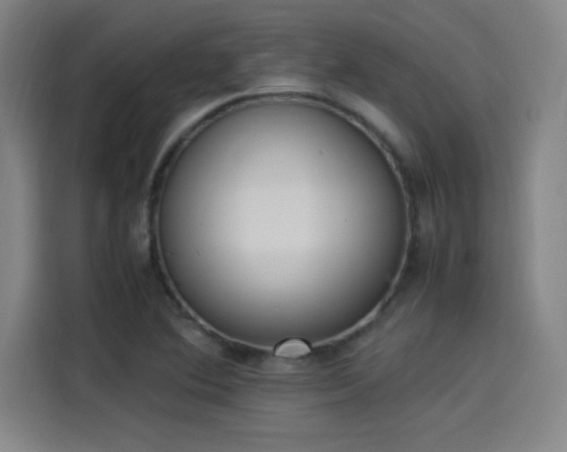 X0000114221364200910161259