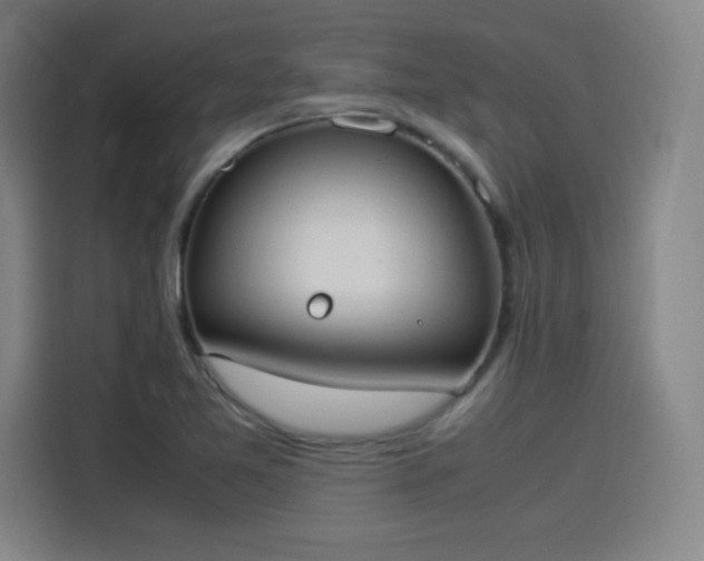 X0000114221365200910161259