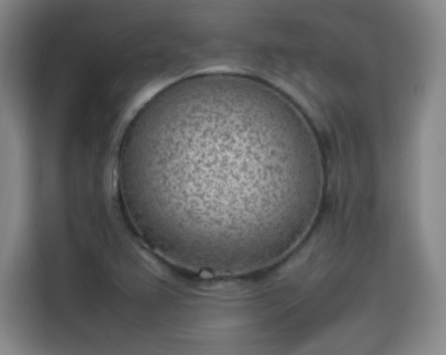 X0000114221367200910161259