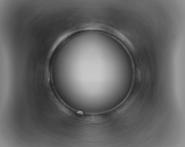 X0000114221368200910161259