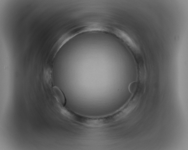 X0000114221369200910161259