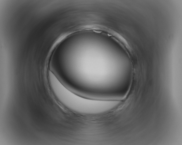 X0000114221373200910161259