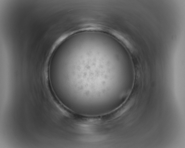 X0000114221375200910161259