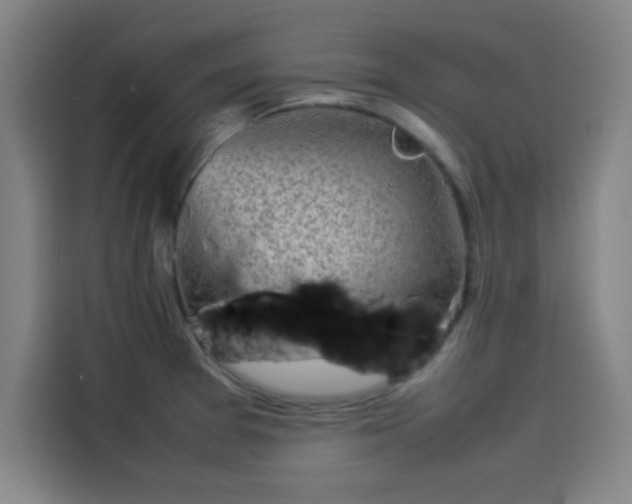 X0000114221377200910161259