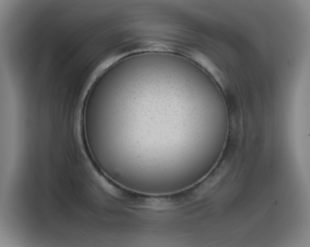 X0000114221379200910161259