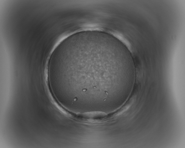 X0000114221383200910161259