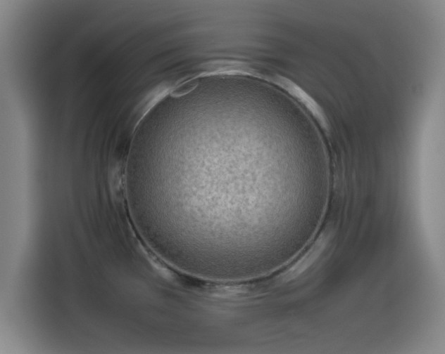 X0000114221385200910161259