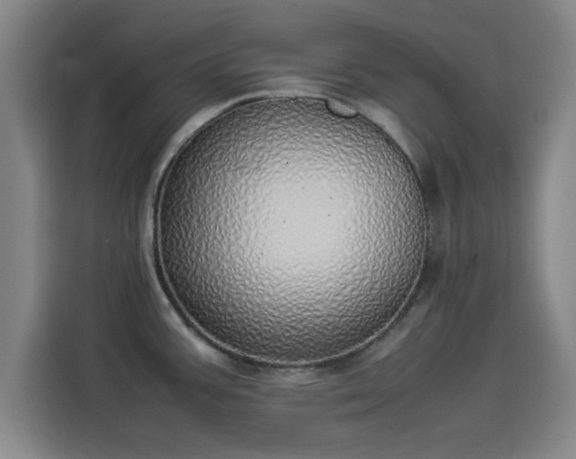 X0000114221387200910161259