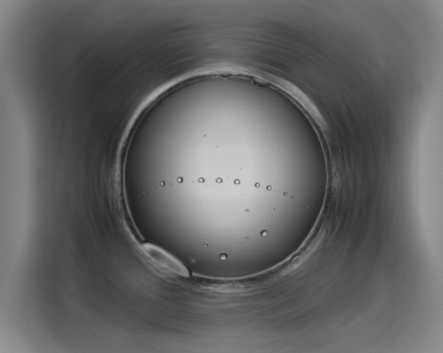 X0000114221388200910161259