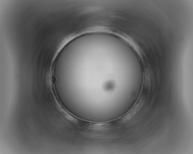 X0000114221390200910161259