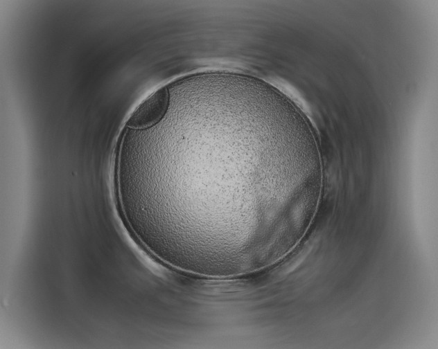 X0000114221391200910161259