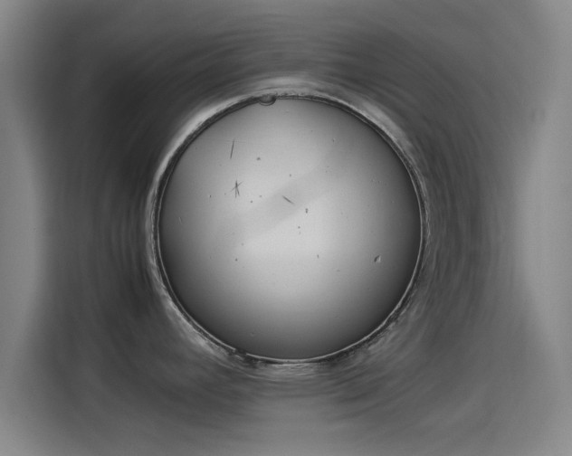 X0000114221392200910161259