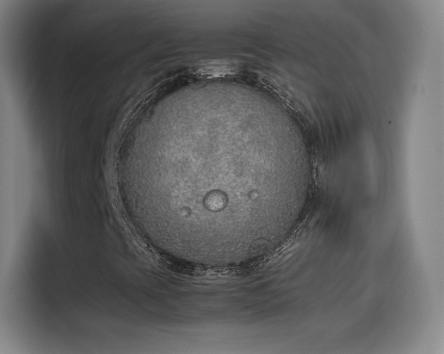 X0000114221393200910161258