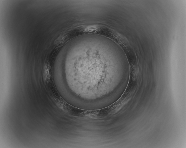 X0000114221394200910161258