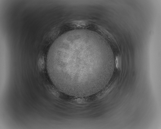 X0000114221395200910161258