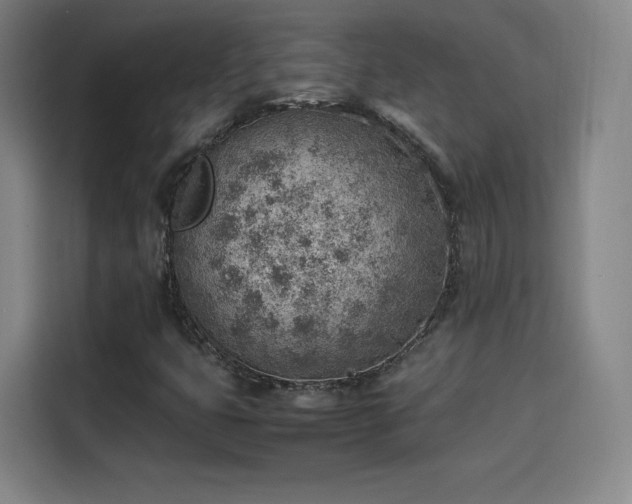 X0000114221399200910161258