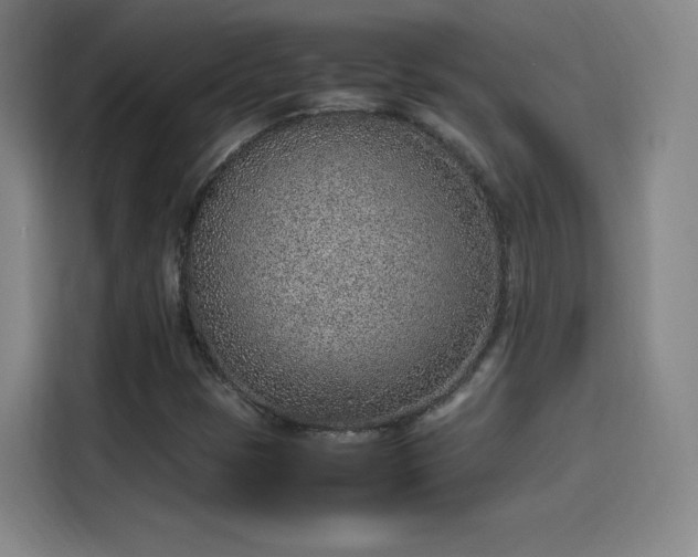 X0000114221401200910161258