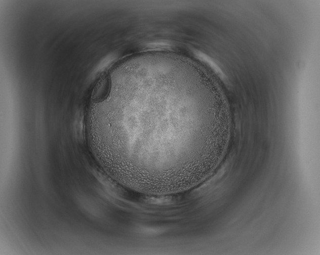 X0000114221403200910161258